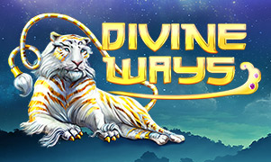 555win6 Divine Ways